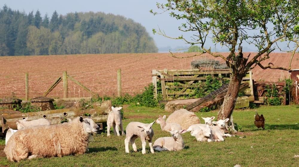 Huntlands Farm Bed & Breakfast Bromyard Exteriör bild