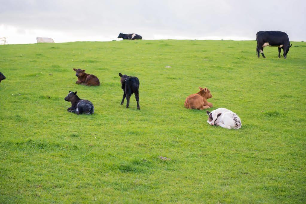 Huntlands Farm Bed & Breakfast Bromyard Exteriör bild